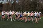 Senior womens 2025 Northern Cross Country Champs, Tatton Park, Knutsford, Cheshire. Photo: David T. Hewitson/Sports for All Pics